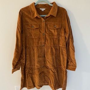American Eagle camel colored corduroy dress. Size large. NWT.